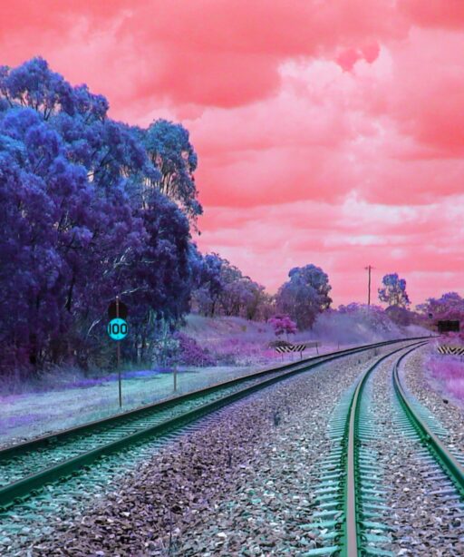 Tim Ellis – Railway Tracks Tim Ellis – Railway Tracks
