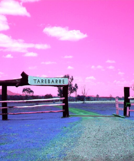 Tim Ellis – Ranch Gates Tim Ellis – Ranch Gates