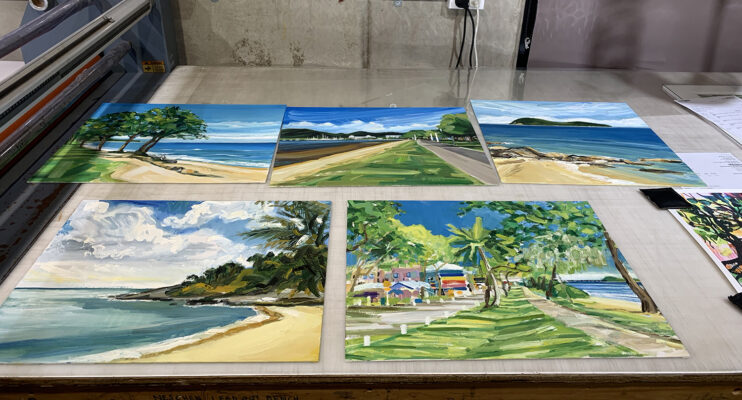 conservation-framing