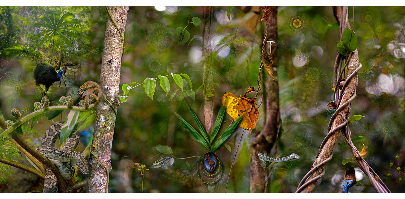 22_forest_scene_1920-2