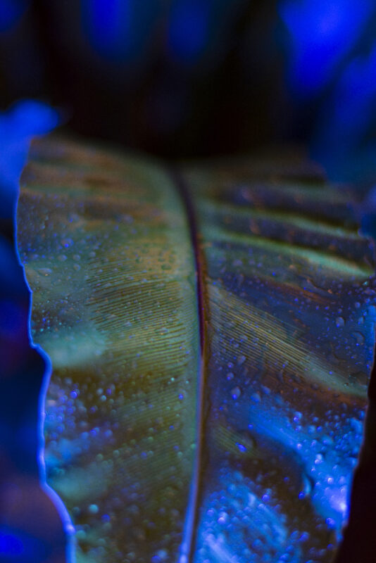 Painting with Light