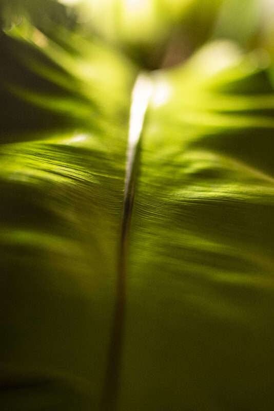 Painting with Light