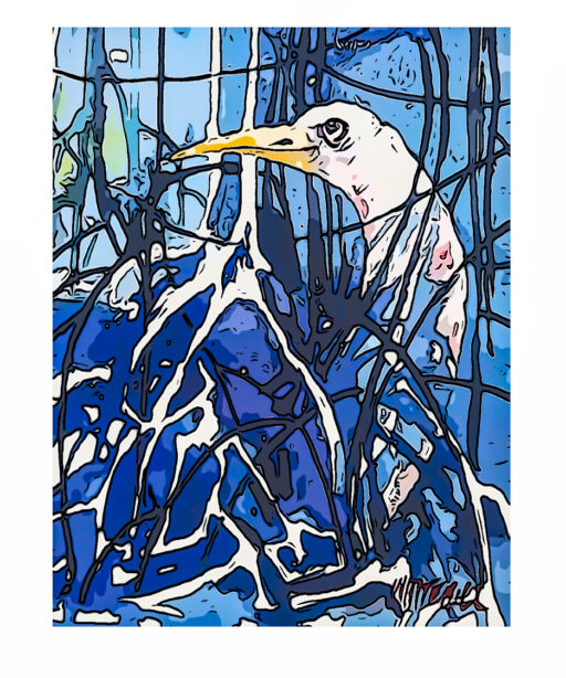heron_in_the_blue