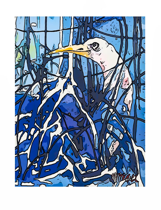 heron_in_the_blue