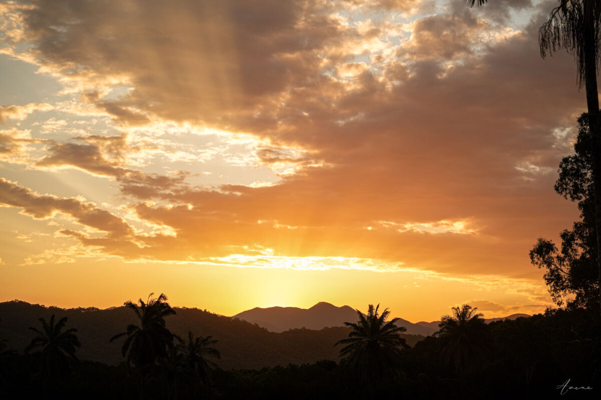 Last Sunshines