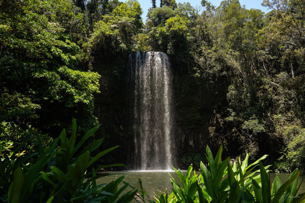 Millaa Millaa Falls