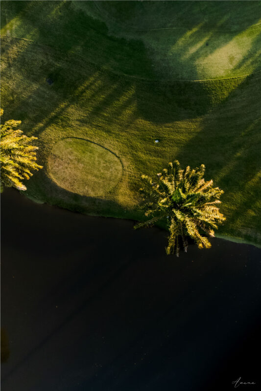 The Green