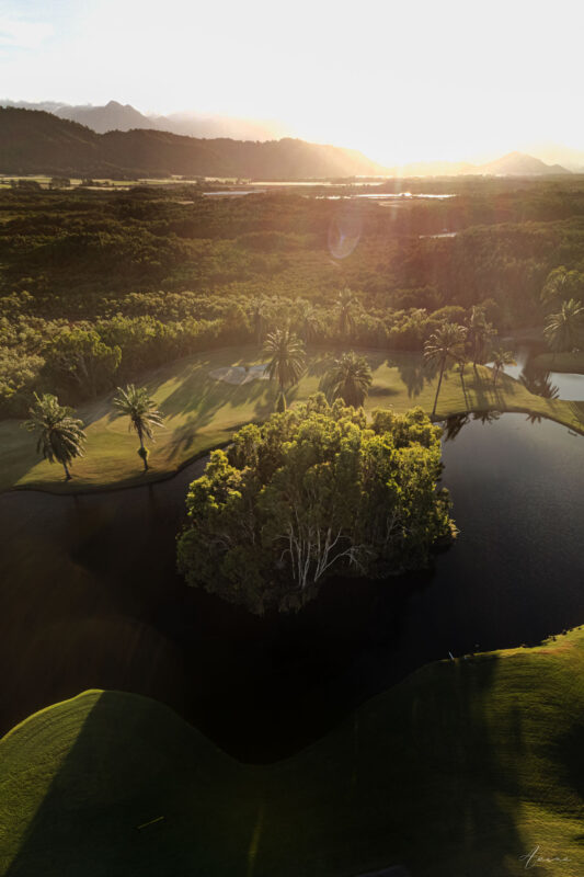 Wise Three
