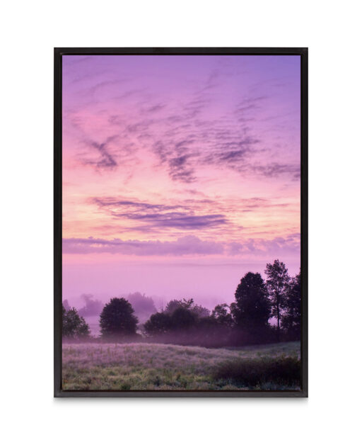 Pink Sky Landscape CEU 01 - Image 2
