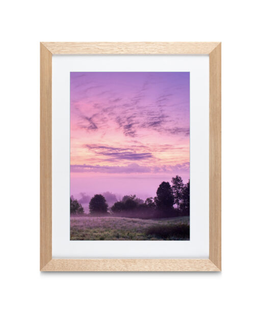 Pink Sky Landscape CEU 01 - Image 6