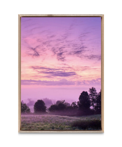 Pink Sky Landscape CEU 01 - Image 5