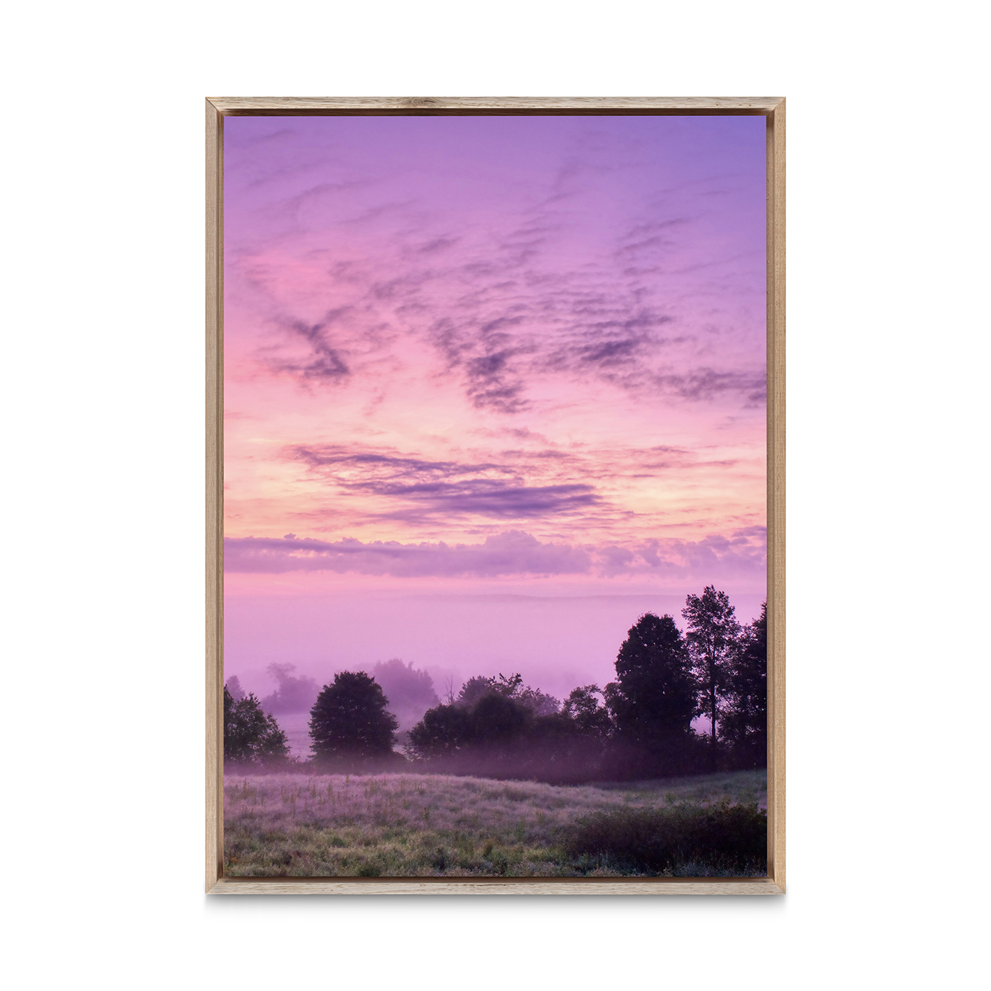 Pink Sky Landscape CEU 01 - Image 5