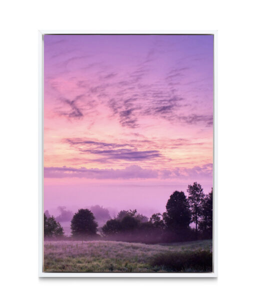 Pink Sky Landscape CEU 01 - Image 3
