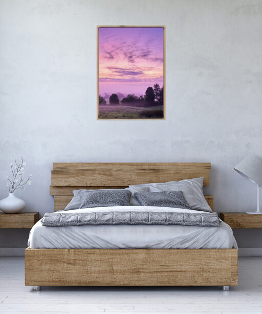 Pink Sky Landscape CEU 01