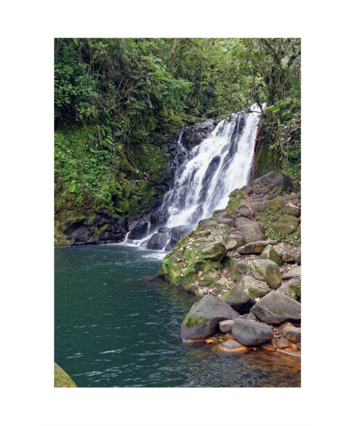 Green Pool Waterfall Landscape CACHOEIRA 02 - Image 7