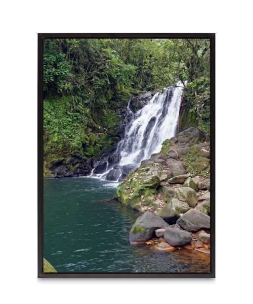 Green Pool Waterfall Landscape CACHOEIRA 02 - Image 8
