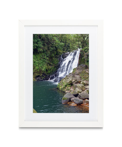 Green Pool Waterfall Landscape CACHOEIRA 02 - Image 3