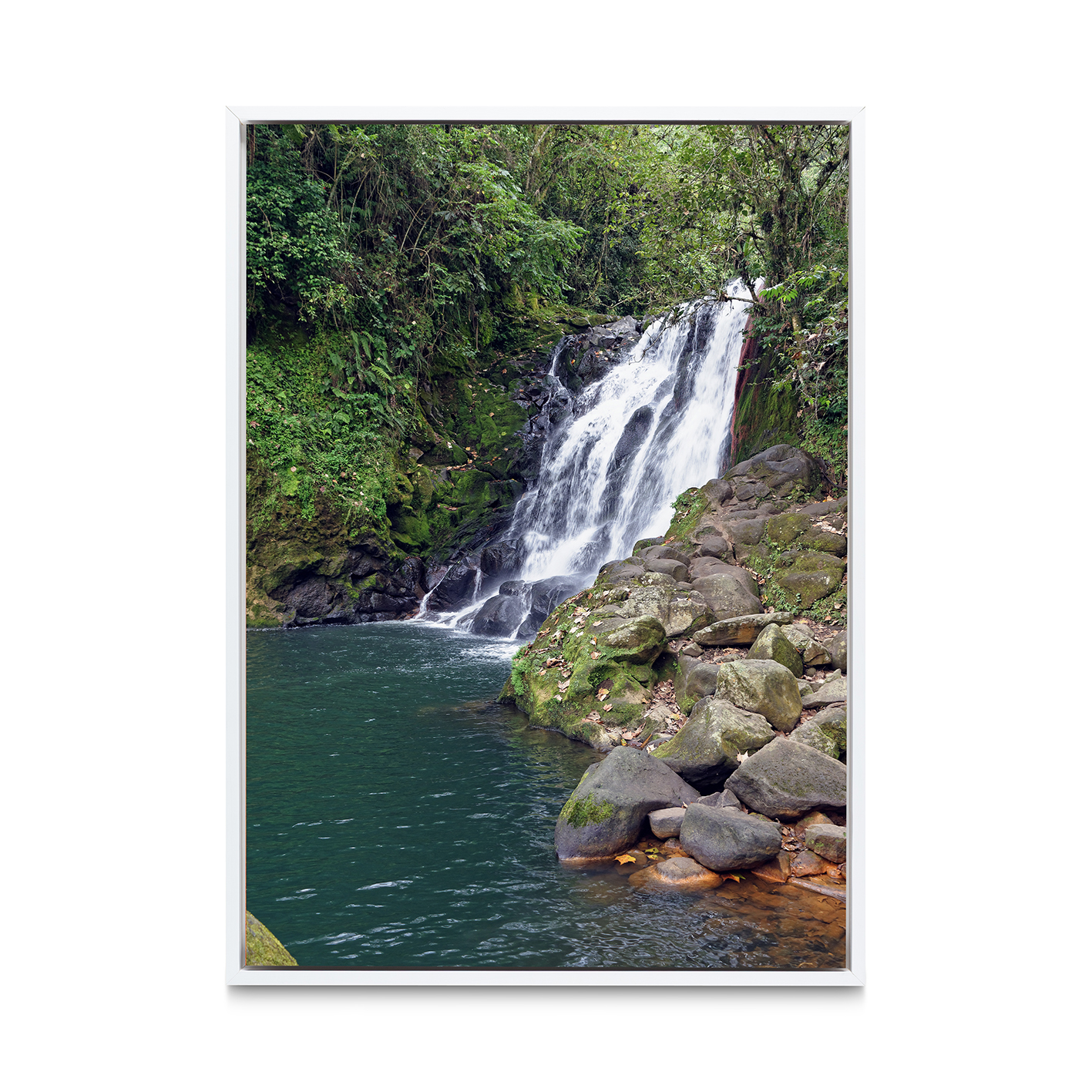 Green Pool Waterfall Landscape CACHOEIRA 02 - Image 6