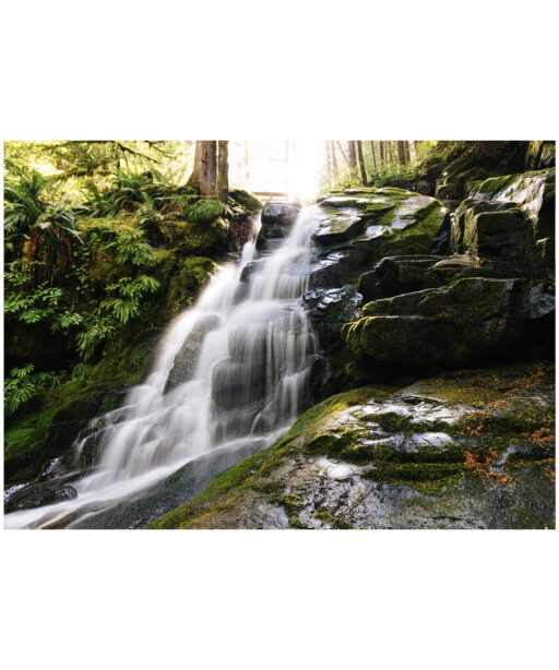 Rainforest Waterfall Landscape CACHOEIRA 07 - Image 7