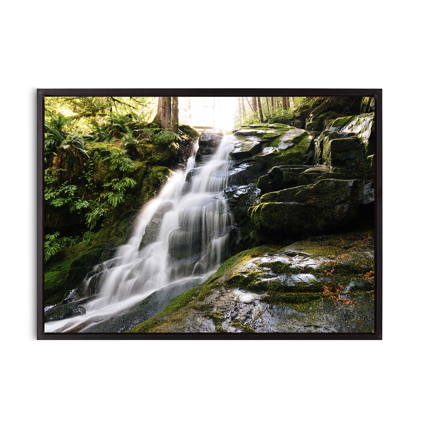 Rainforest Waterfall Landscape CACHOEIRA 07 - Image 8