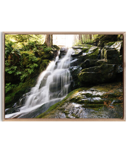 Rainforest Waterfall Landscape CACHOEIRA 07 - Image 5