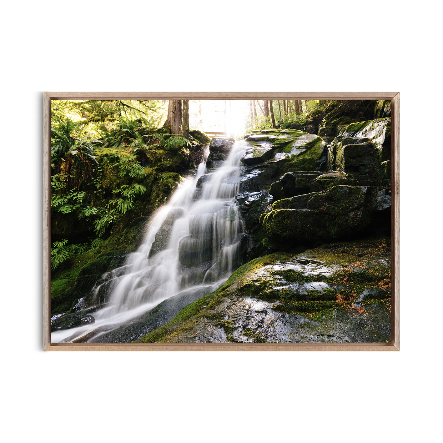 Rainforest Waterfall Landscape CACHOEIRA 07 - Image 5