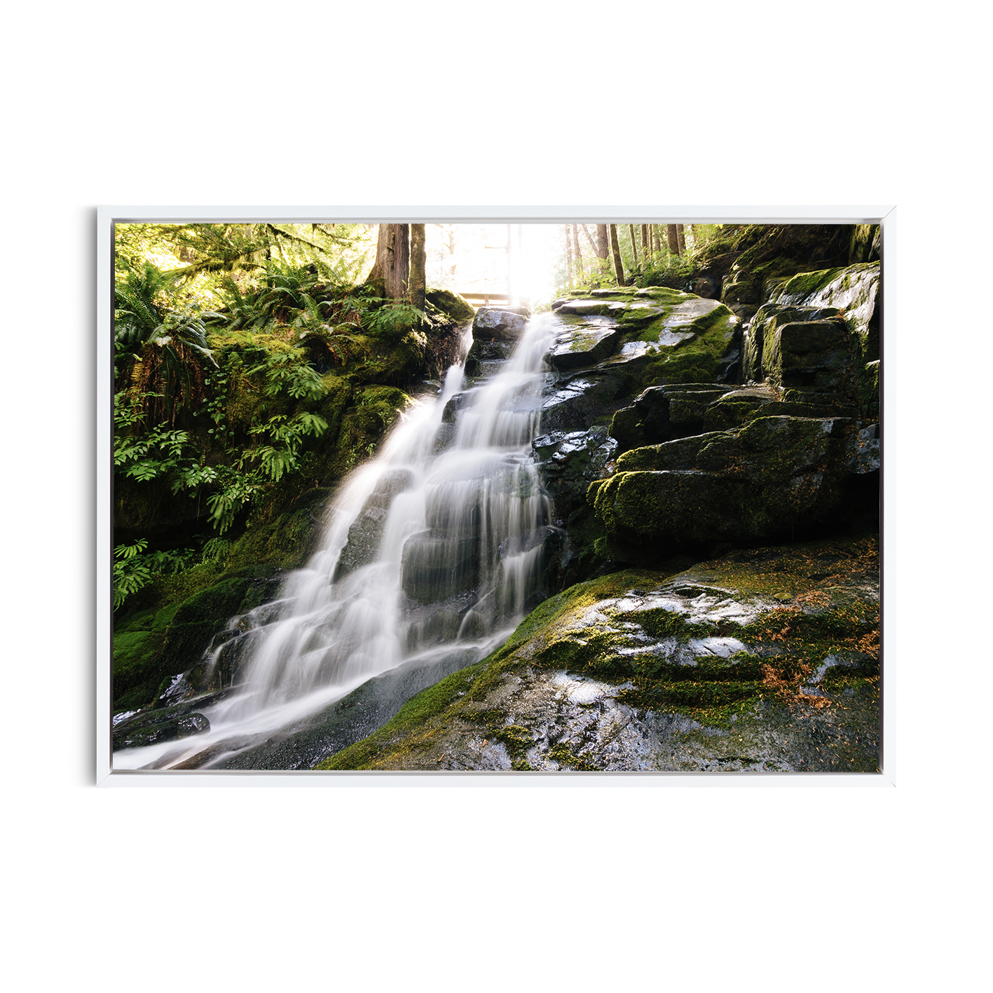 Rainforest Waterfall Landscape CACHOEIRA 07 - Image 6