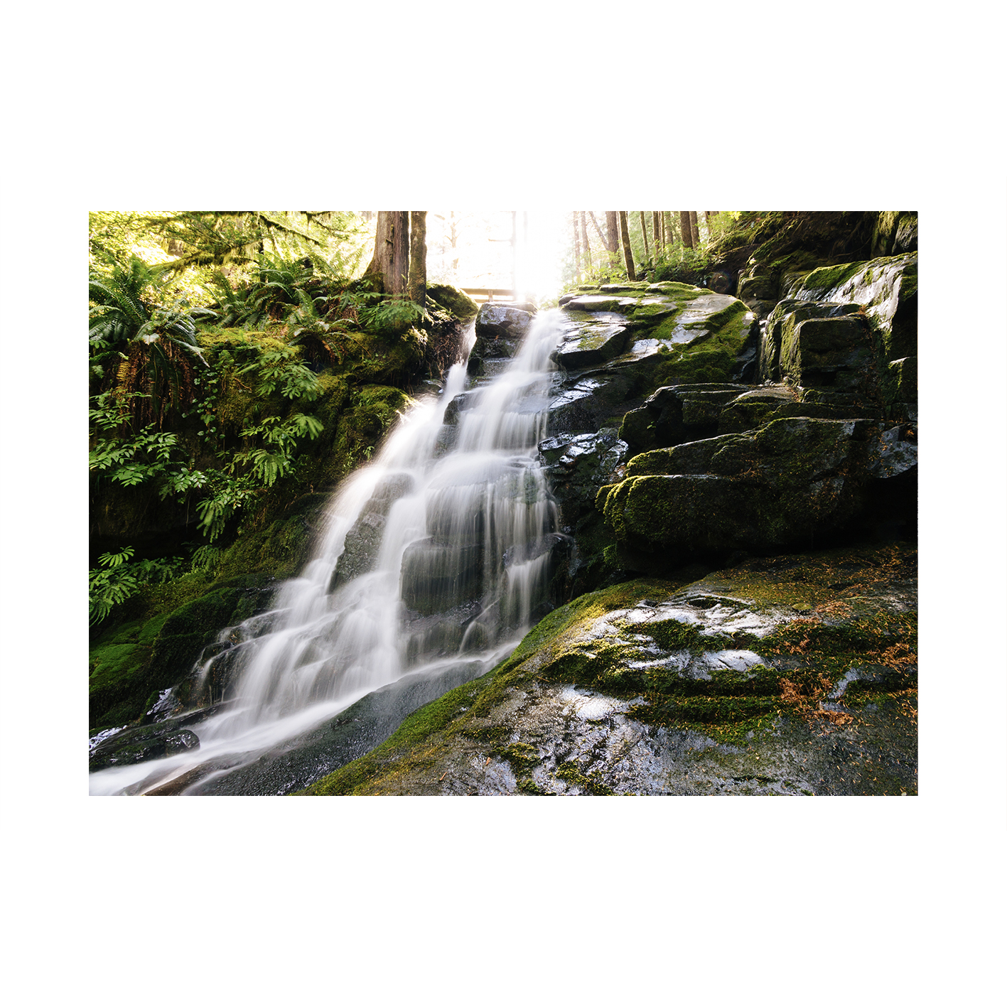 Rainforest Waterfall Landscape CACHOEIRA 07 - Image 7