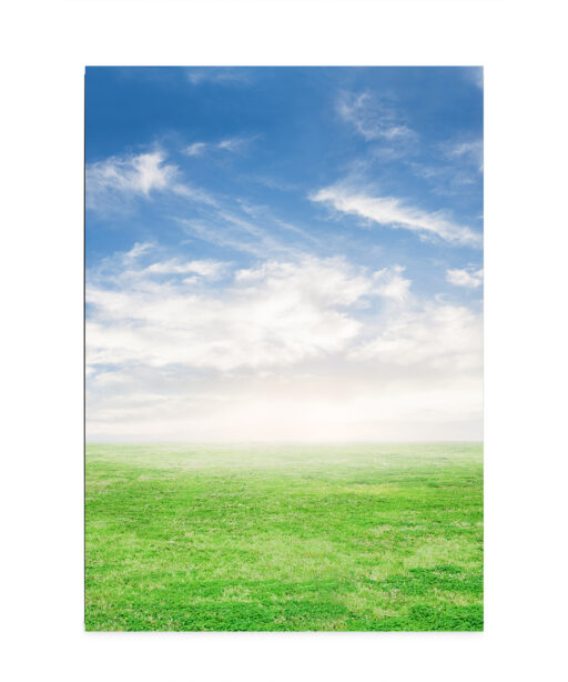 Blue Sky Green Grass Landscape CEU 02 - Image 7