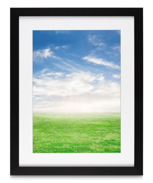 Blue Sky Green Grass Landscape CEU 02 - Image 4