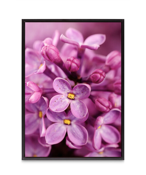 Purple Lilac Floral FLORES_002 - Image 8