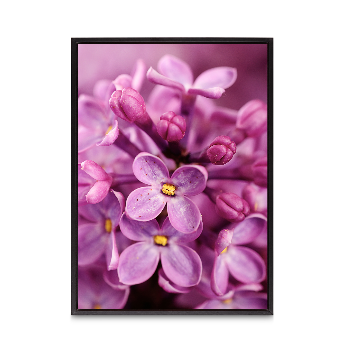 Purple Lilac Floral FLORES_002 - Image 8