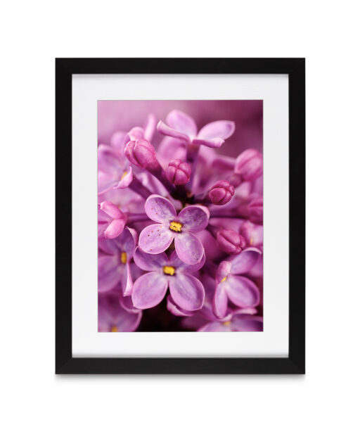 Purple Lilac Floral FLORES_002 - Image 4