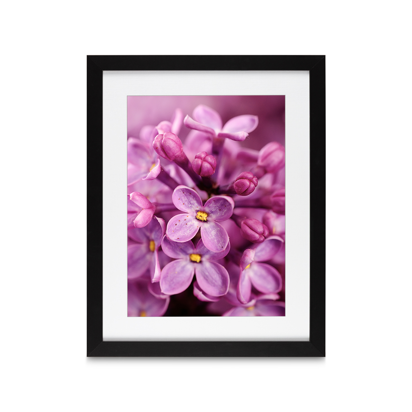 Purple Lilac Floral FLORES_002 - Image 4