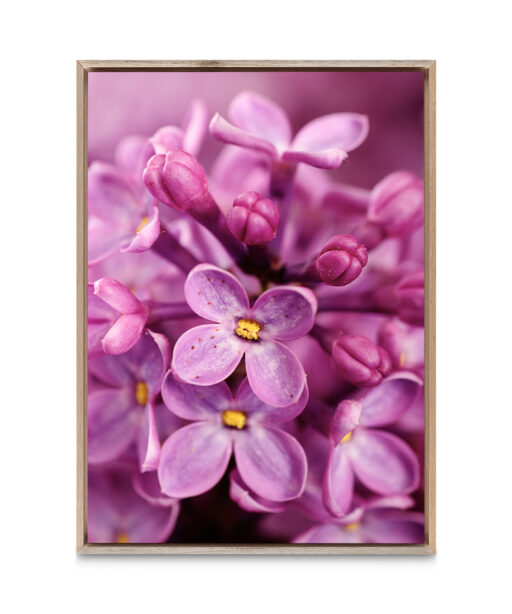 Purple Lilac Floral FLORES_002 - Image 5