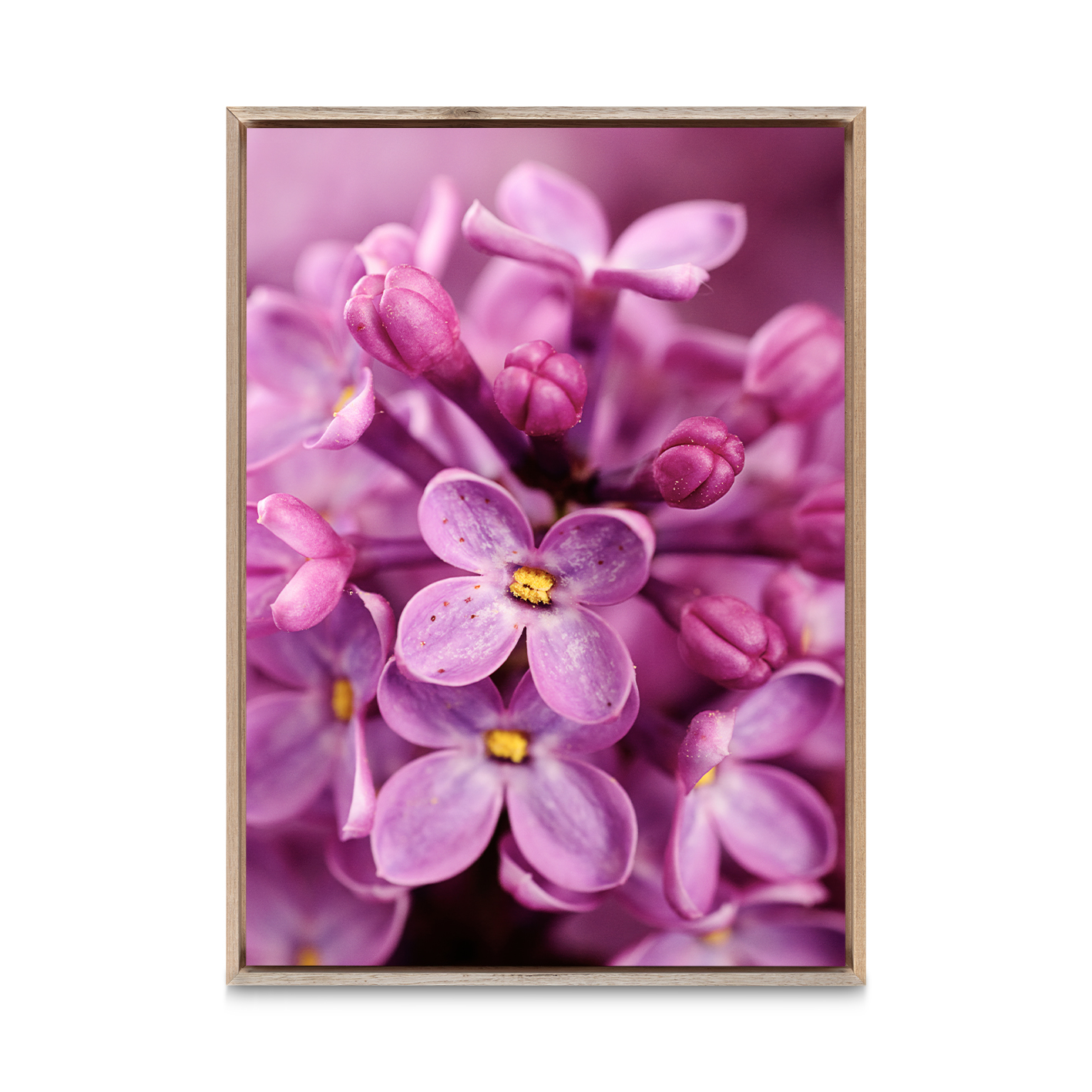 Purple Lilac Floral FLORES_002 - Image 5