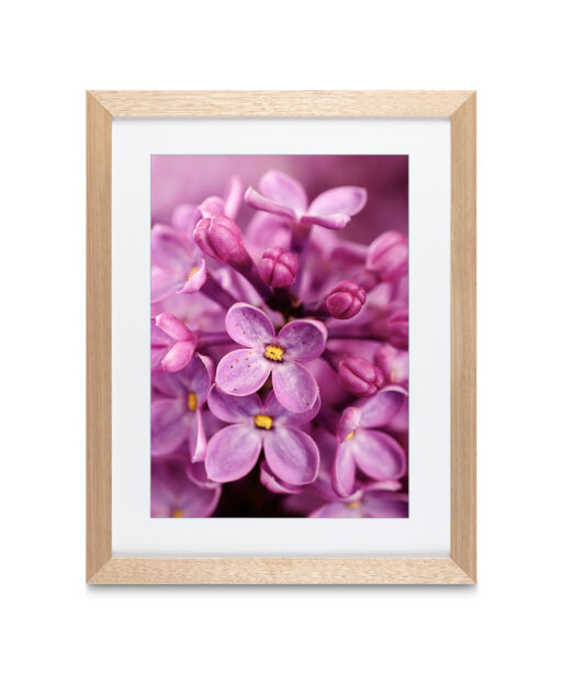 Purple Lilac Floral FLORES_002 - Image 2