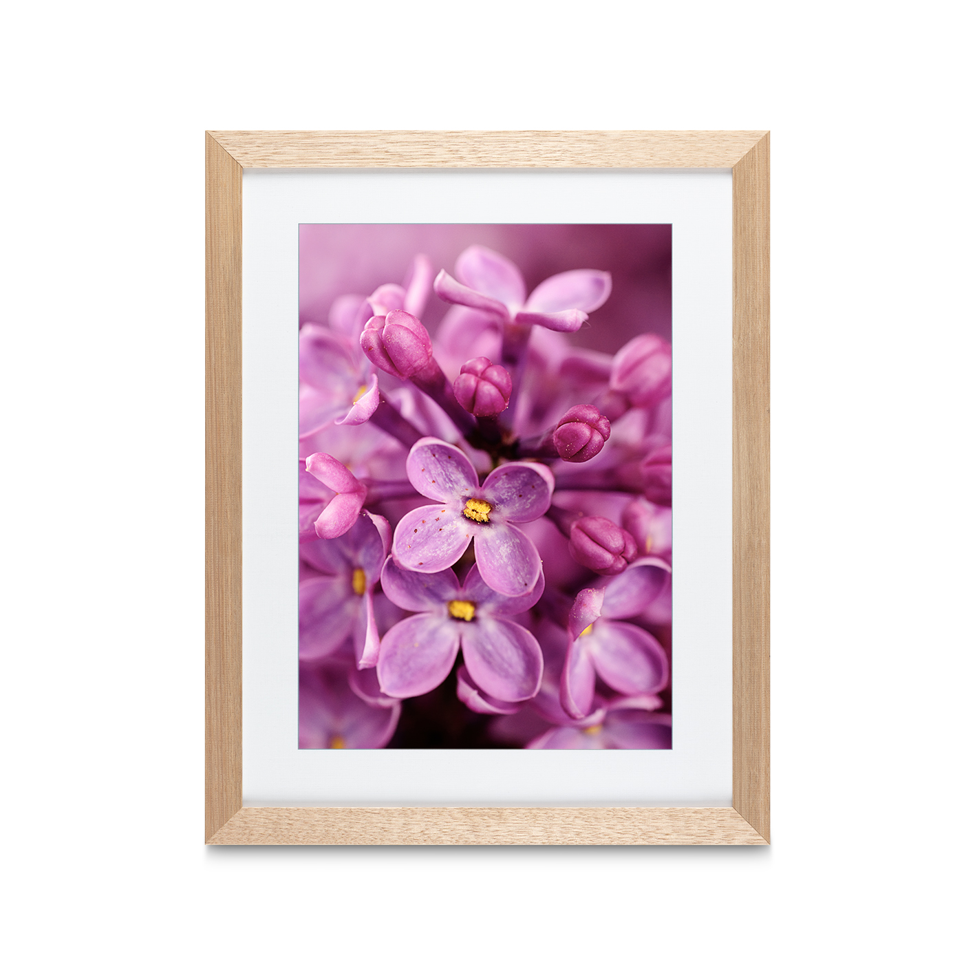 Purple Lilac Floral FLORES_002 - Image 2