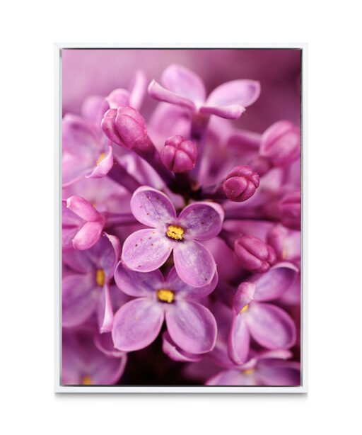 Purple Lilac Floral FLORES_002 - Image 6