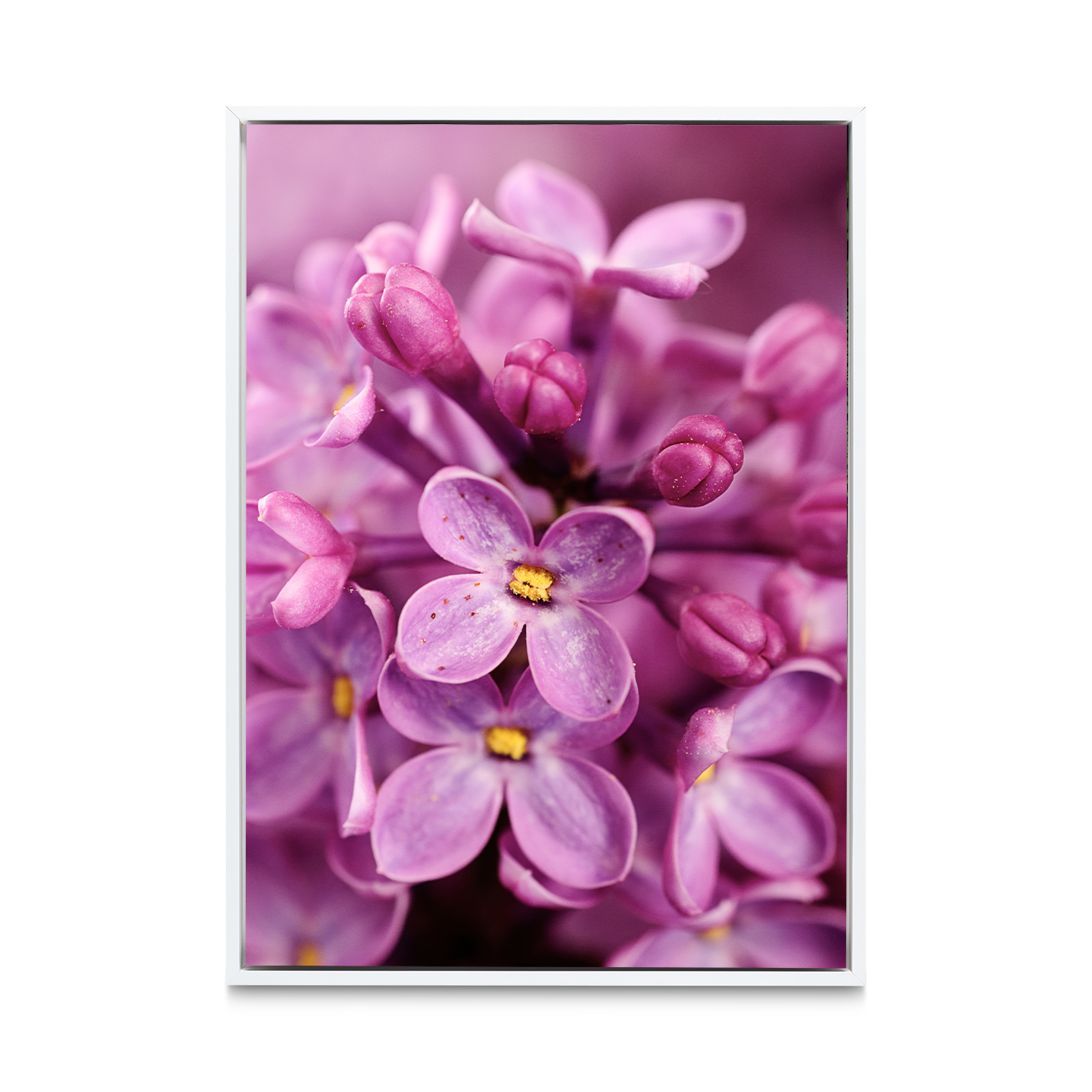 Purple Lilac Floral FLORES_002 - Image 6
