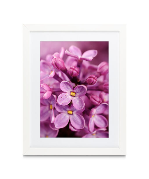 Purple Lilac Floral FLORES_002 - Image 3