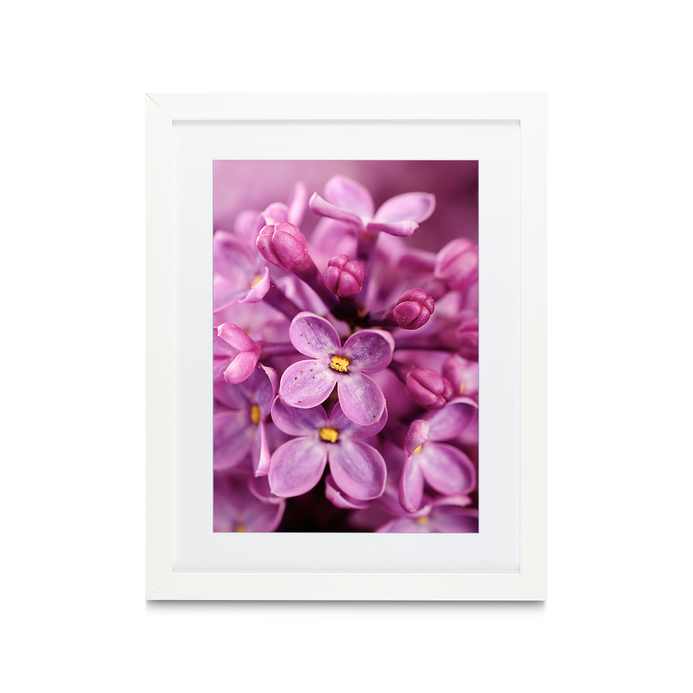 Purple Lilac Floral FLORES_002 - Image 3