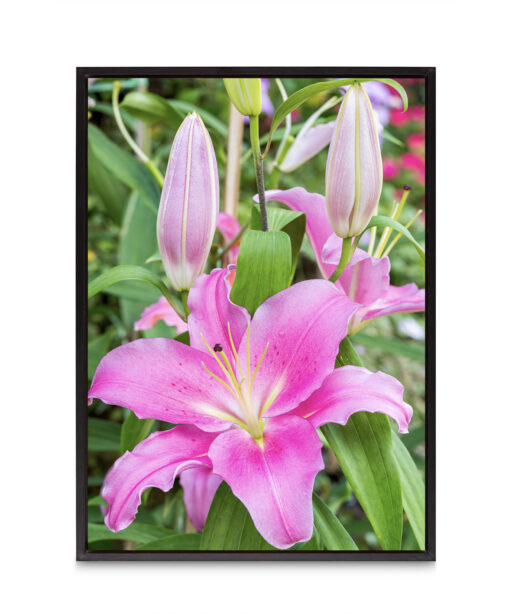 Purple Lily Floral FLORES_003 - Image 8