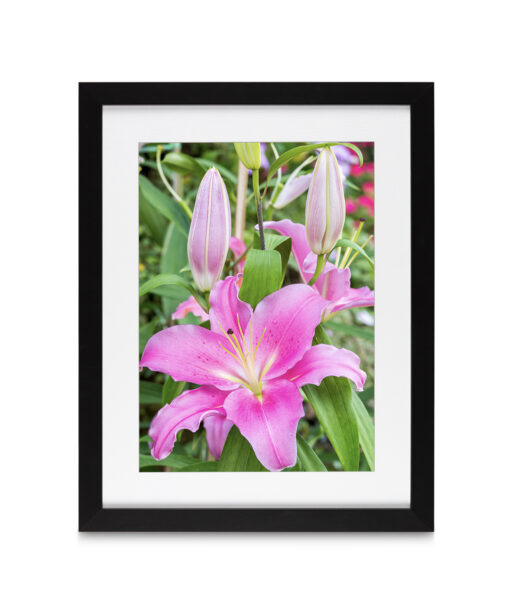 Purple Lily Floral FLORES_003 - Image 4