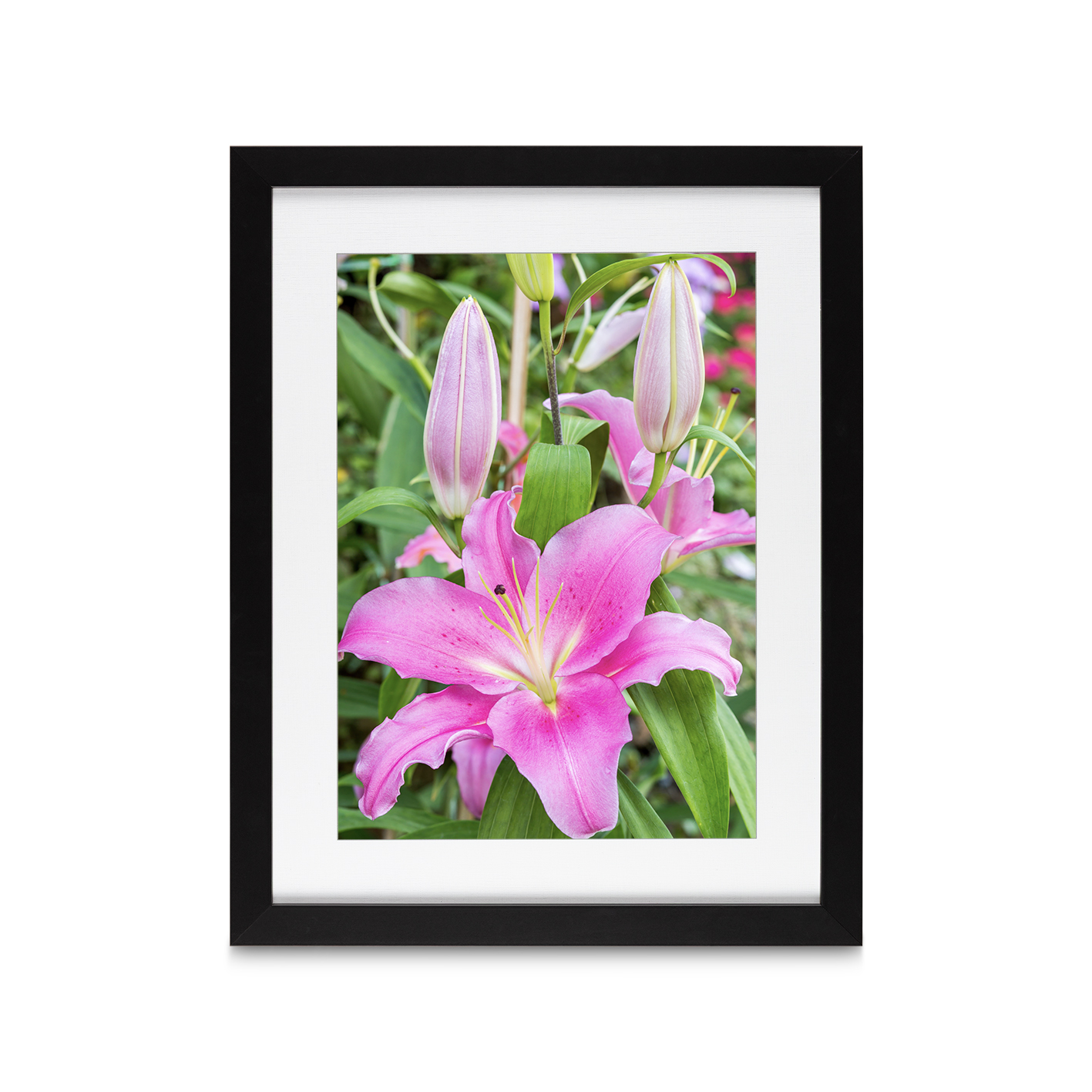 Purple Lily Floral FLORES_003 - Image 4