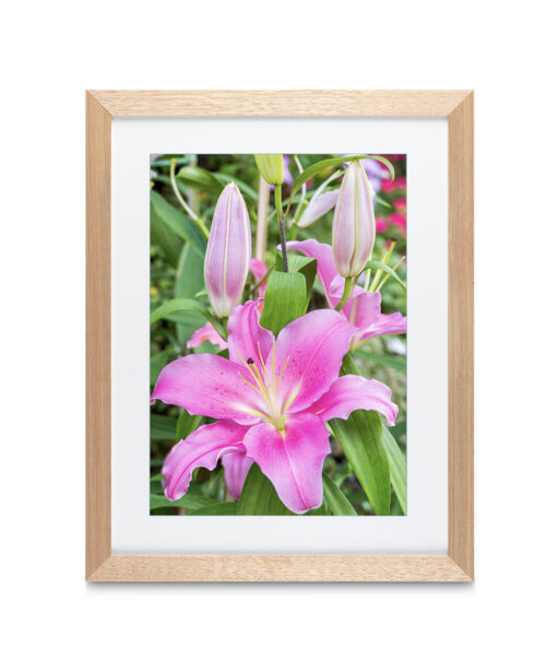 Purple Lily Floral FLORES_003 - Image 2