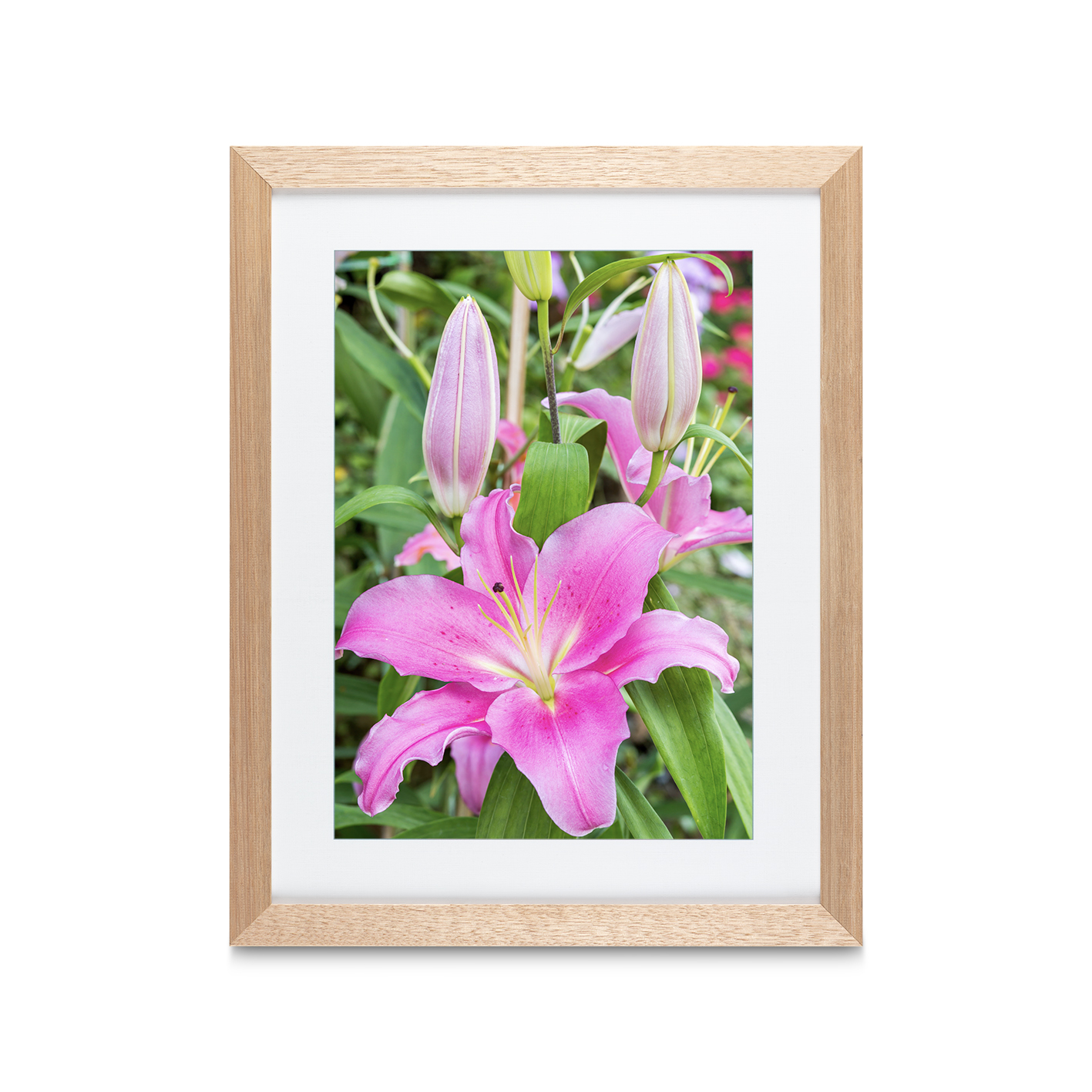 Purple Lily Floral FLORES_003 - Image 2
