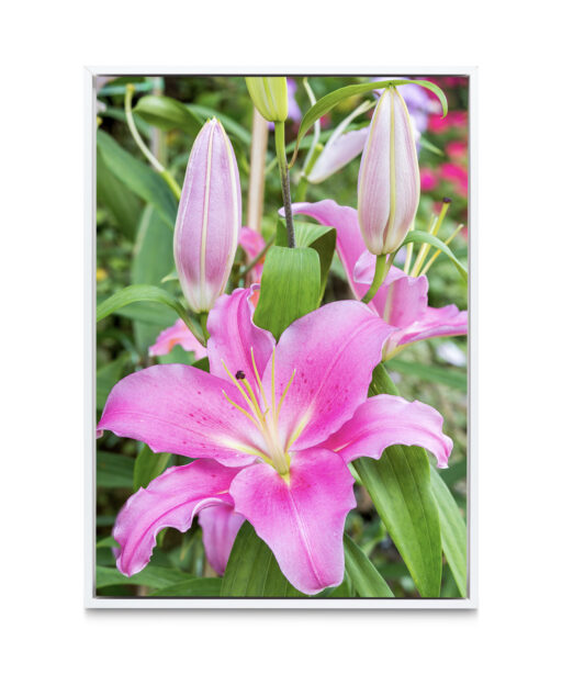 Purple Lily Floral FLORES_003 - Image 6