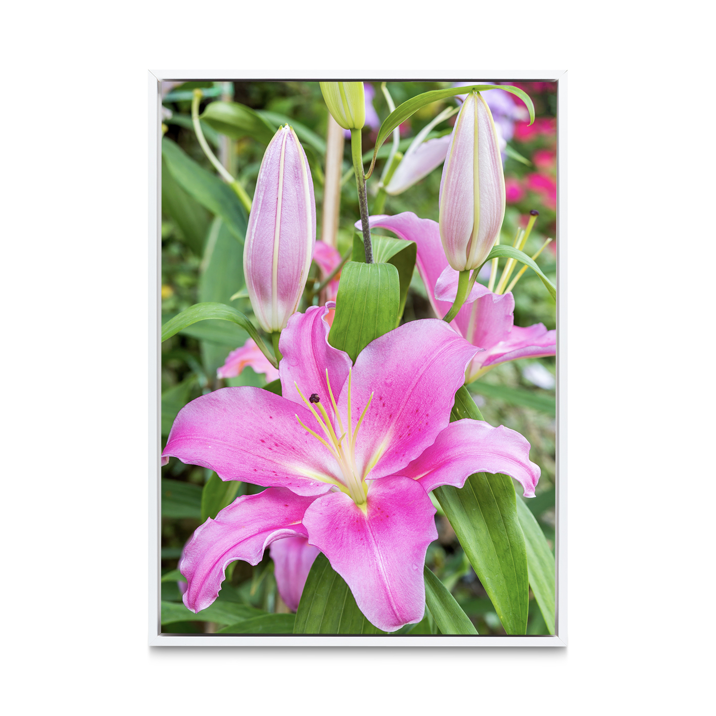 Purple Lily Floral FLORES_003 - Image 6