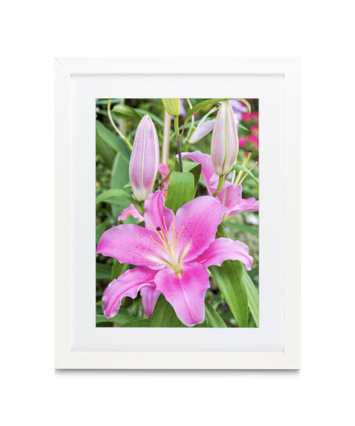 Purple Lily Floral FLORES_003 - Image 3